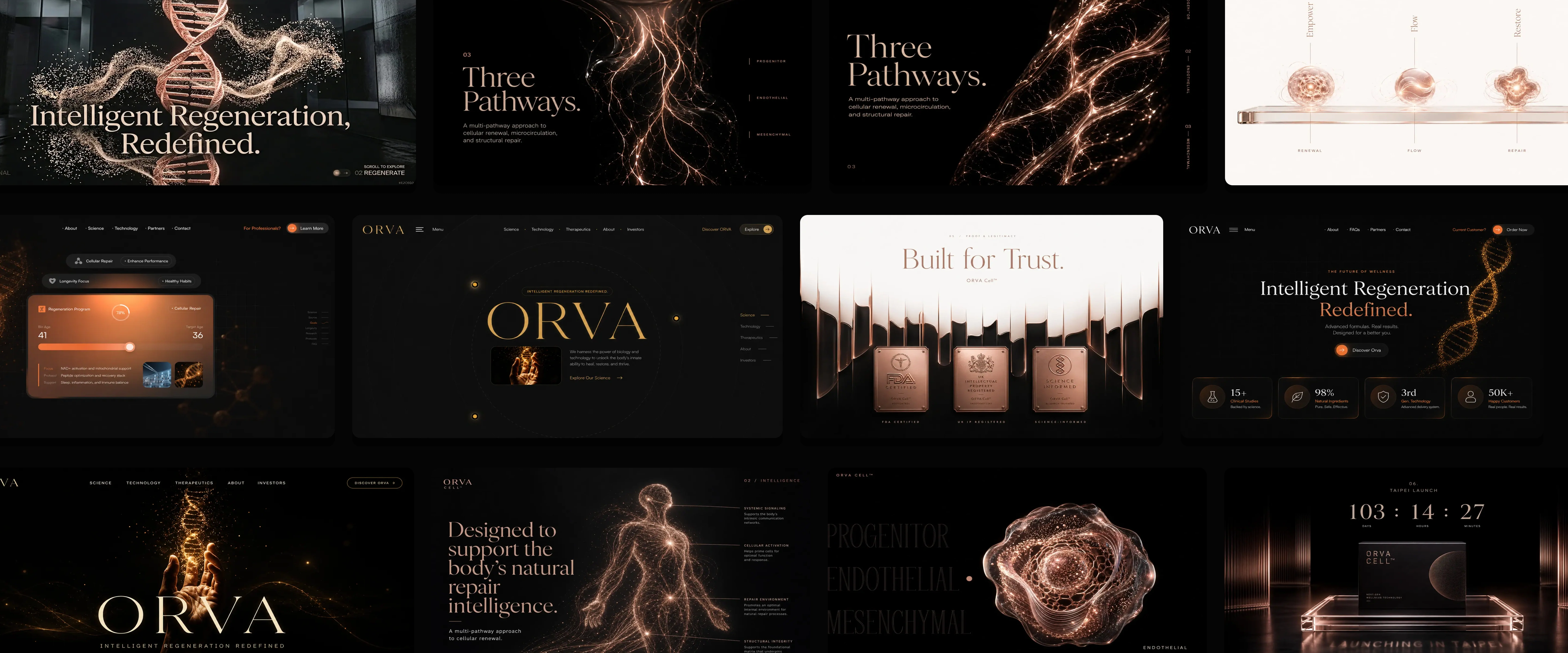ORVA Cell initial concept layout
